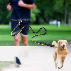 Pet Supplies